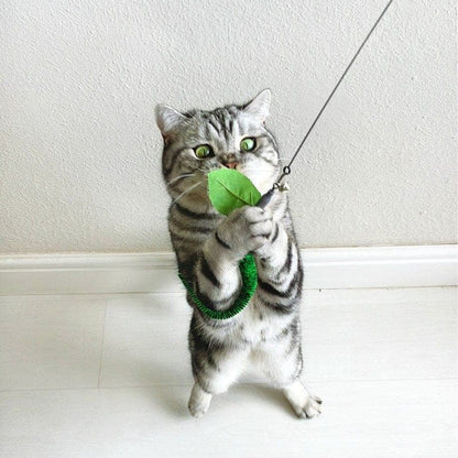 Catvera Interactive Worm Hunting Toy