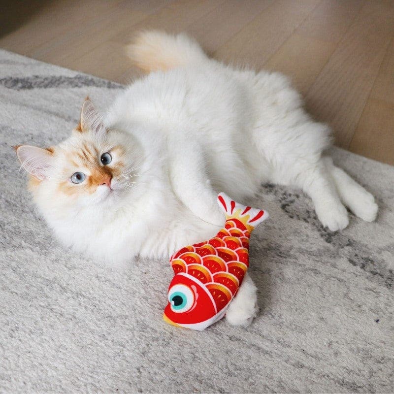 Catvera Interactive Motion Sensor Fish