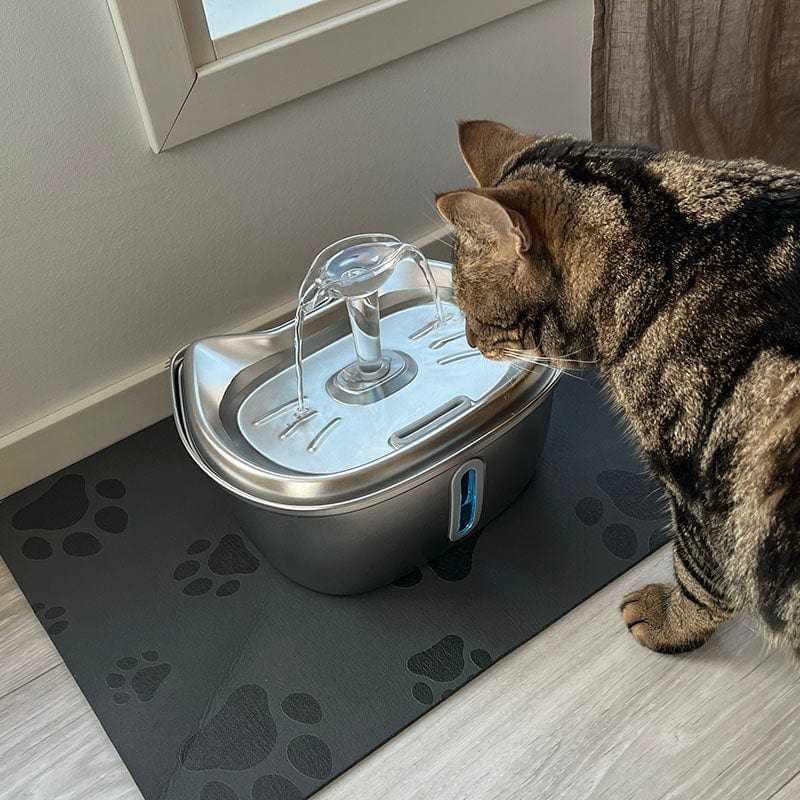 Catvera Stainless Steel Water Fountain
